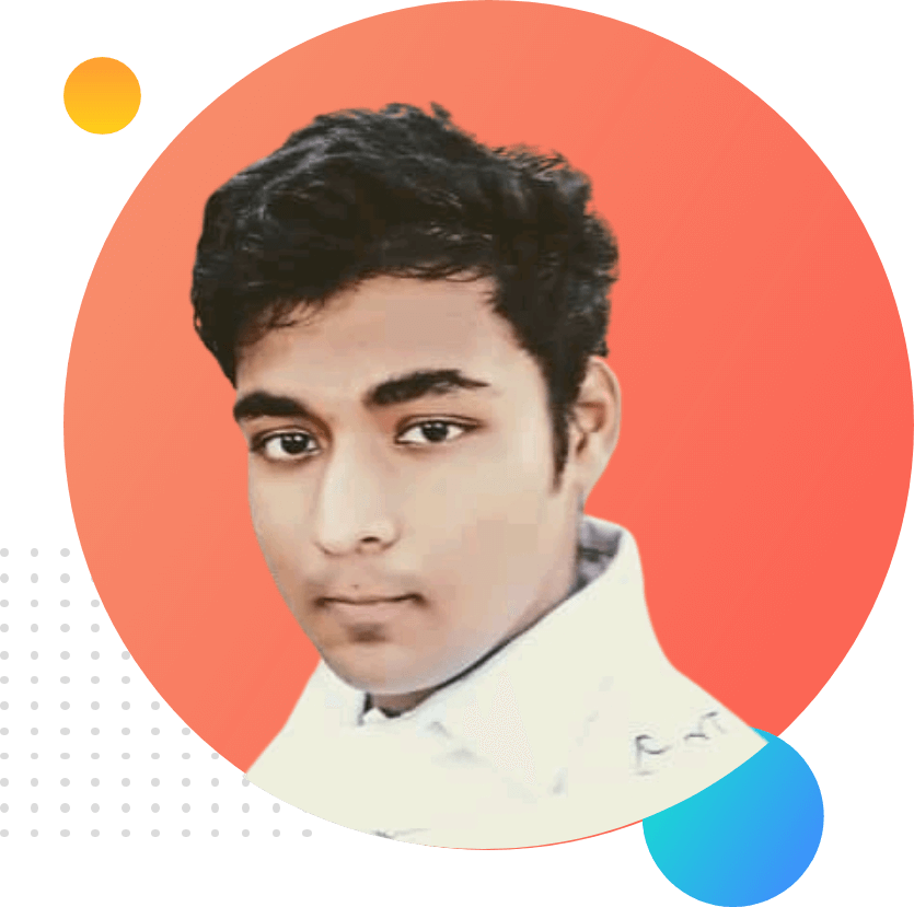 Developer Portfolio Image